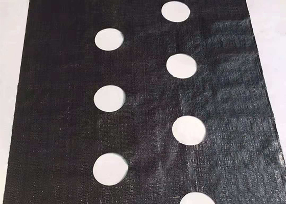 打孔防草布 打孔防草布