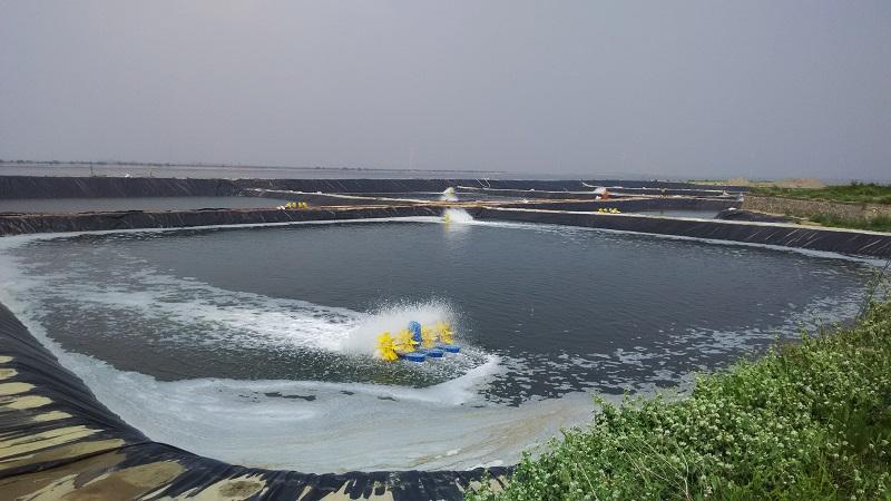 魚塘蝦池養(yǎng)殖防滲膜
